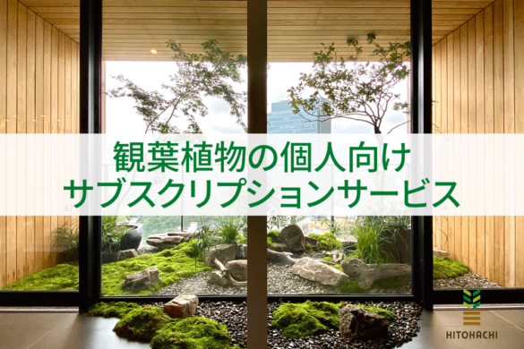 観葉植物のコーディネートからメンテナンスまで サブスクリプションでプロにお任せ