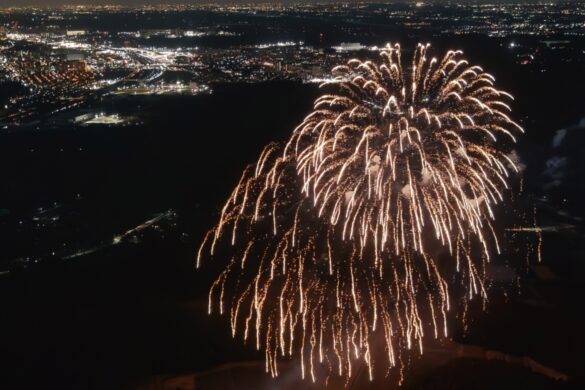 上空500ｍを貸切に！ プライベート打上げ花火 &東京夜景クルーズ