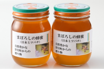 鹿児島県産日本ミツバチ蜂蜜（約450g×2本・計約900g）