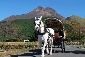 由布市ふるさと納税宿泊補助券30,000円分