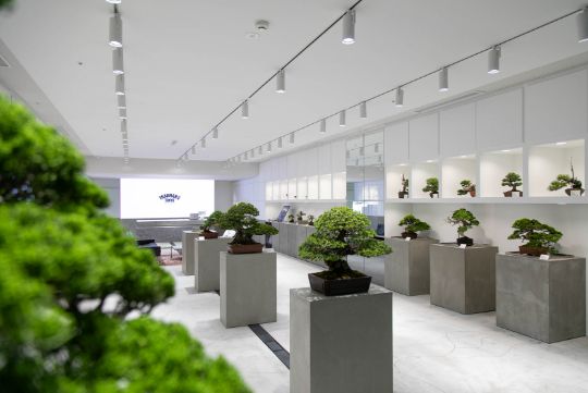 丸の内の「TRADMAN’S BONSAI TOKYO」では盆栽の他にアパレルの販売も行われる