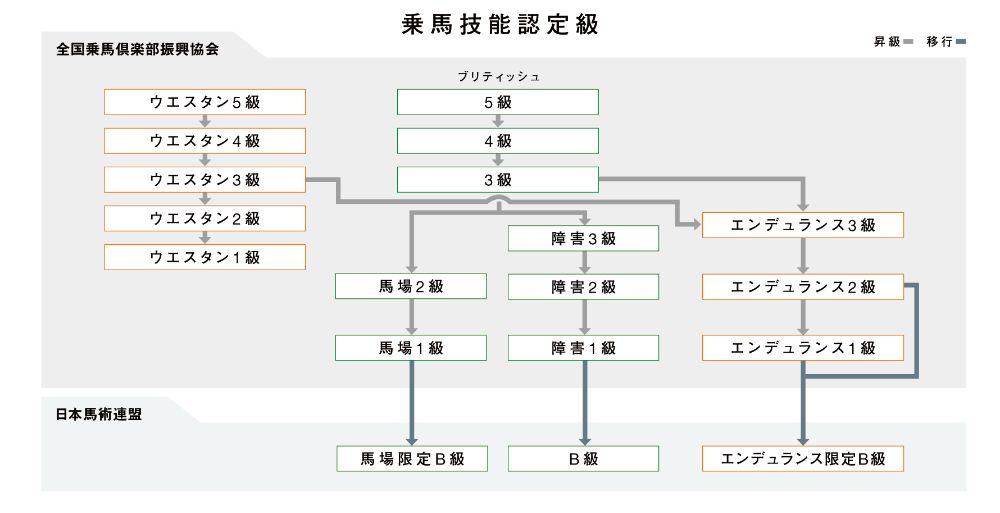 乗馬技能認定級