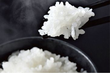 【令和7年度産】関智晴がつくる最高級無農薬栽培米 全6回 南魚沼産コシヒカリ