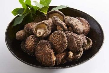 原木栽培椎茸 家庭用どんこ 400g