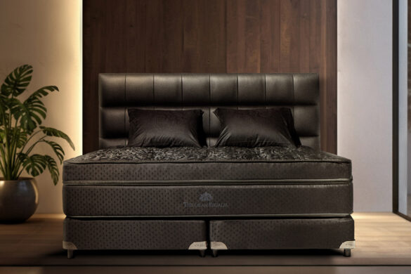 銀座で出会う、良質な眠り。エグゼクティブに選ばれる理由とは？