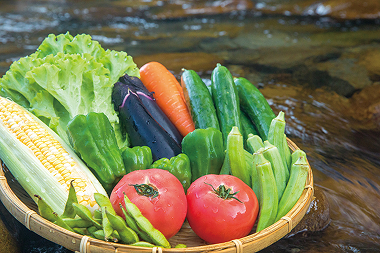 <span style="color: #fff;background-color: #C6860E;padding: 3px;margin-right: 5px;font-size: 75%;">複数設定あり</span><br>【定期便年4回】<br> 旬のお野菜詰め合わせセット8~12品