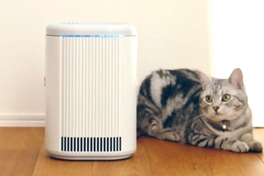 ネコ用脱臭除菌機ブルーデオS にゃんこモデル（MC-S311C）