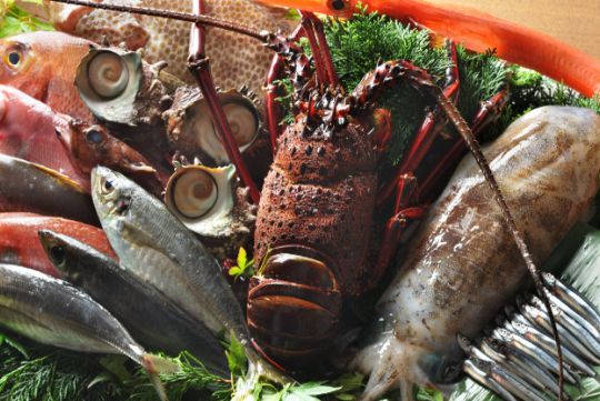 季節を問わず魚の種類が豊富で１年中旬の海の幸が味わえる。