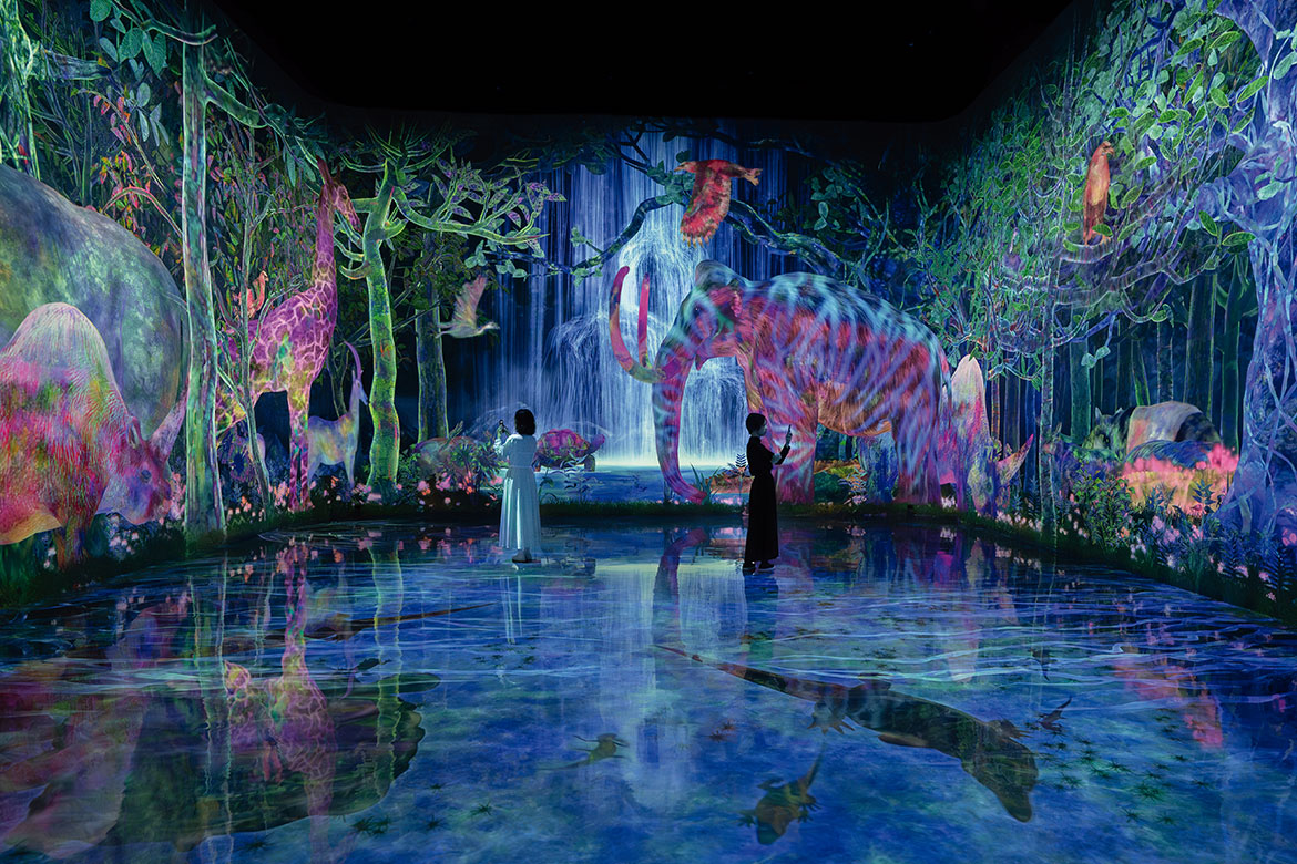 チームラボプラネッツ TOKYO DMM.com/つかまえて集める絶滅の森