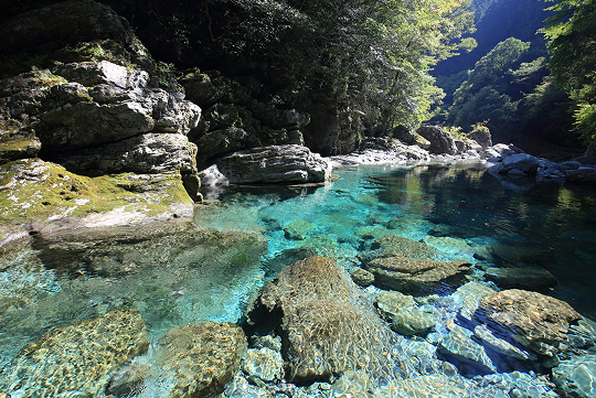 仁淀川の支流、安居川沿いに広がる「安居渓谷」。中でも「水晶淵」は、仁淀ブルーを象徴する代表的なスポット。
