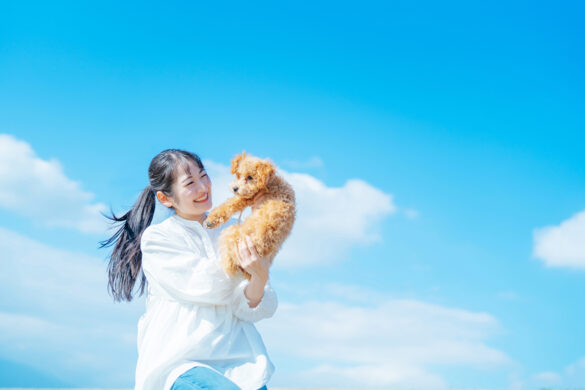 【PR】大切なペットとの時間をより豊かに