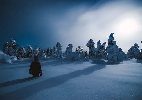 冬の北部では、太陽がほとんど昇らない極夜の季節が数週間から数ヶ月続く。雪原に映る月明かりや星明かりが際立つのは、人工光の少ない環境ならではの現象であり、静寂そのものが風景となる。