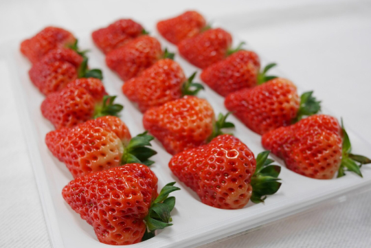 出荷は11月中旬から6月頃までと長く、特に春は最も甘みと酸味のバランスが良い1粒に。