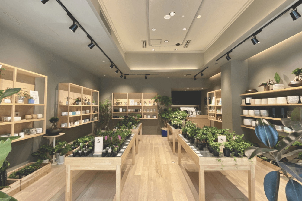 植物と鉢を自由に組み合わせ可能 お客様にぴったりの一鉢を提供してくれる